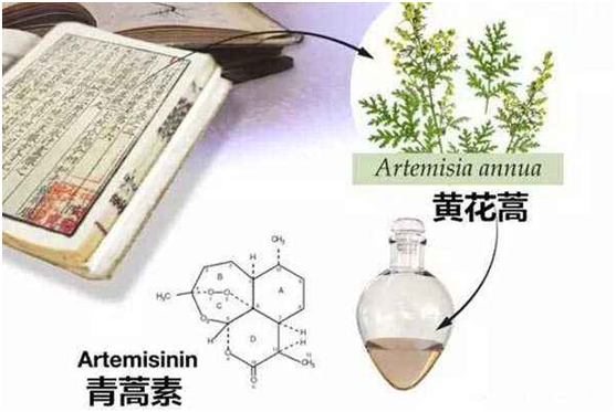 北京西京中医医院：向中医药看齐，与世界共享中医药文化(图1)